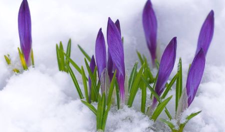 martin-13-ne-olan-hava-1
