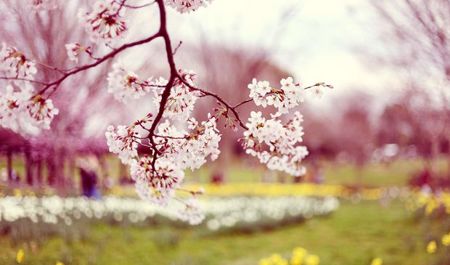 novruz-bayrami-gunu-hava-nece-olacaq-1
