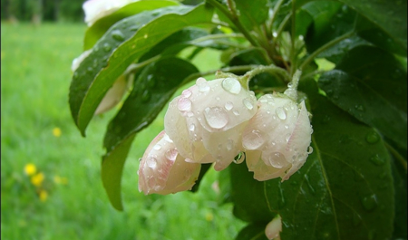 aprelin-15-ne-olan-hava-haqda-1-2