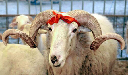azerbaycan-xalqi-qurban-bayramini-qeyd-edir