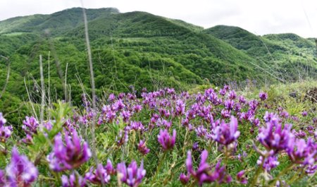 avqustun-sonuncu-heftesini-hansi-hava-ile-qarsilayacayiq