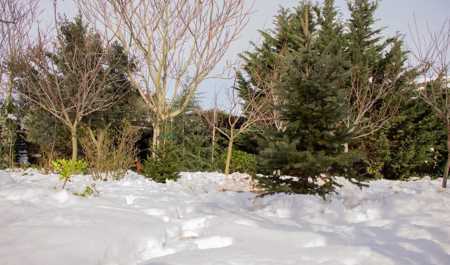 fevralin-son-gunune-olan-hava-xeberdarligi