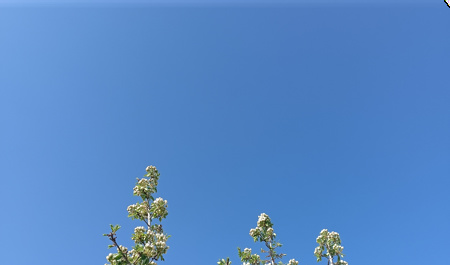 aprelin-3-ne-olan-hava-haqda-1